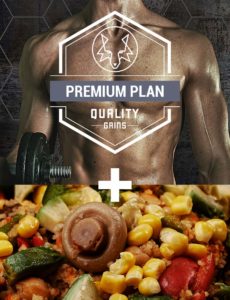 Premium-Plan