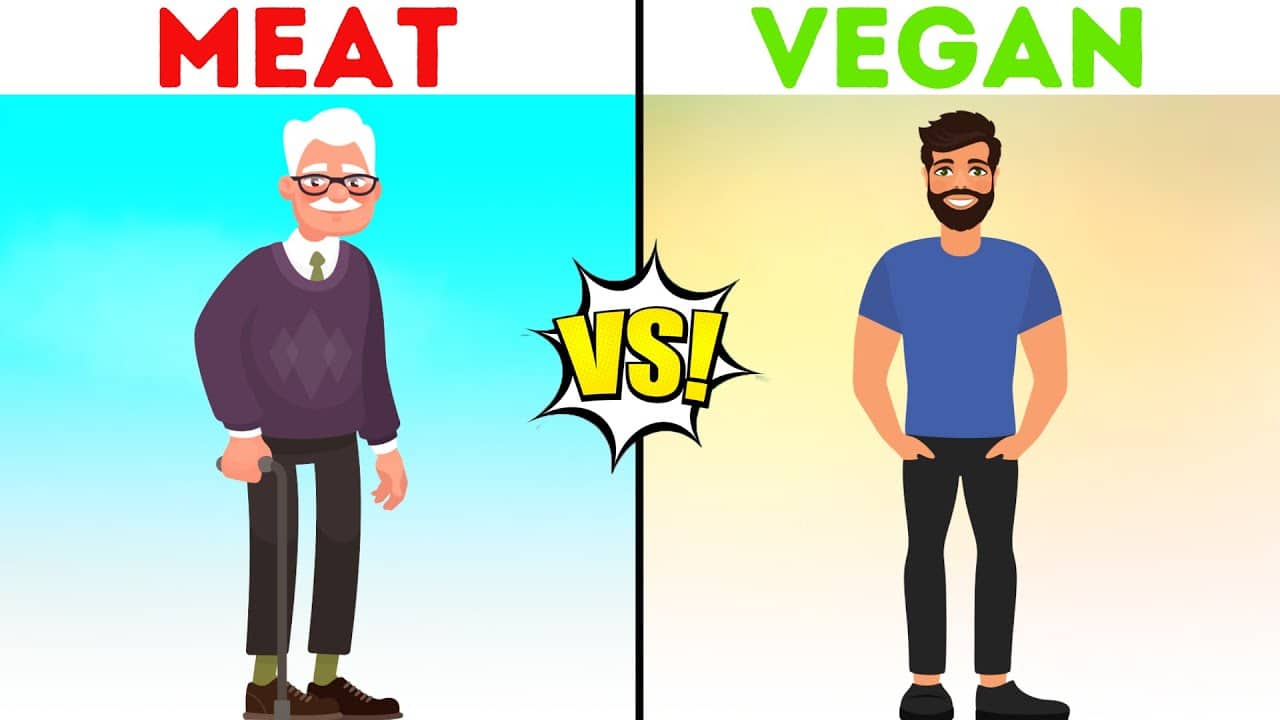 do-vegans-live-longer-lives