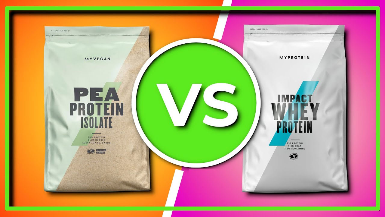 plant based protein benefits