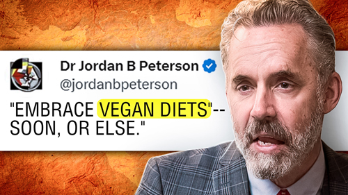 jordan peterson vegan tweets
